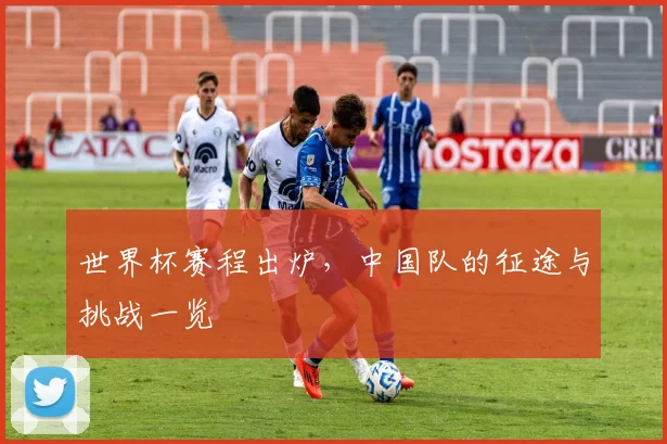 世界杯赛程出炉，中国队的征途与挑战一览