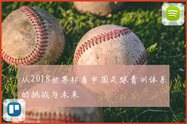 从2018世界杯看中国足球青训体系的挑战与未来