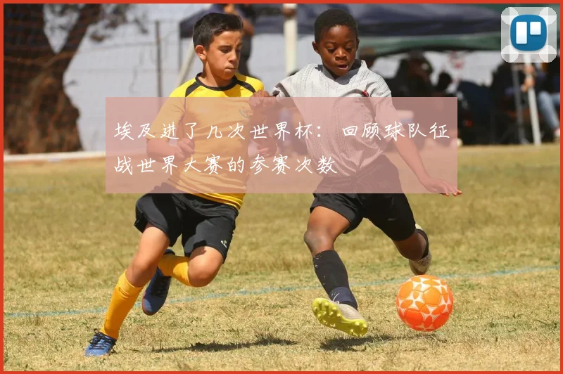 埃及进了几次世界杯：回顾球队征战世界大赛的参赛次数