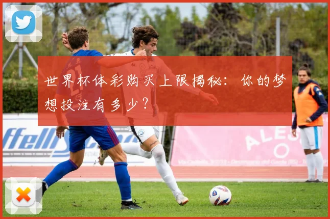 世界杯体彩购买上限揭秘:你的梦想投注有多少?
