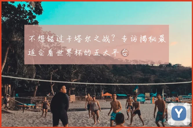 不想错过卡塔尔之战？专访揭秘最适合看世界杯的五大平台