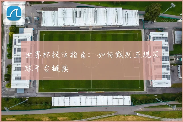 世界杯投注指南：如何甄别正规买球平台链接