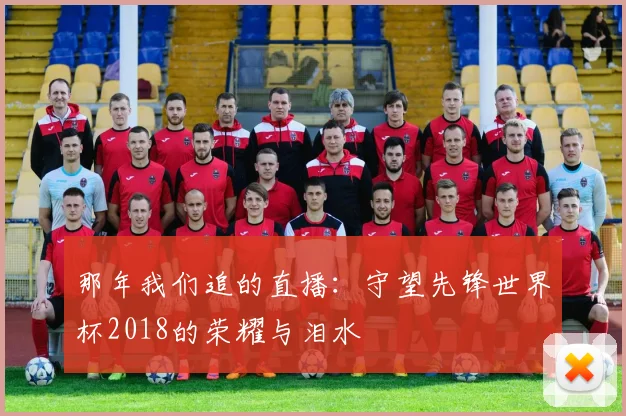 那年我们追的直播：守望先锋世界杯2018的荣耀与泪水