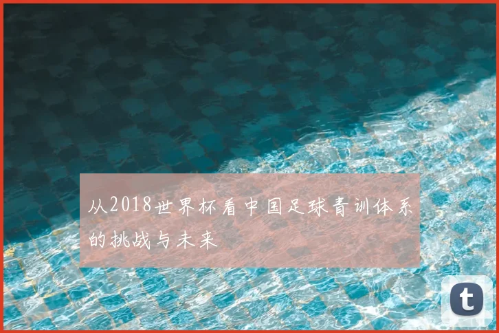 从2018世界杯看中国足球青训体系的挑战与未来